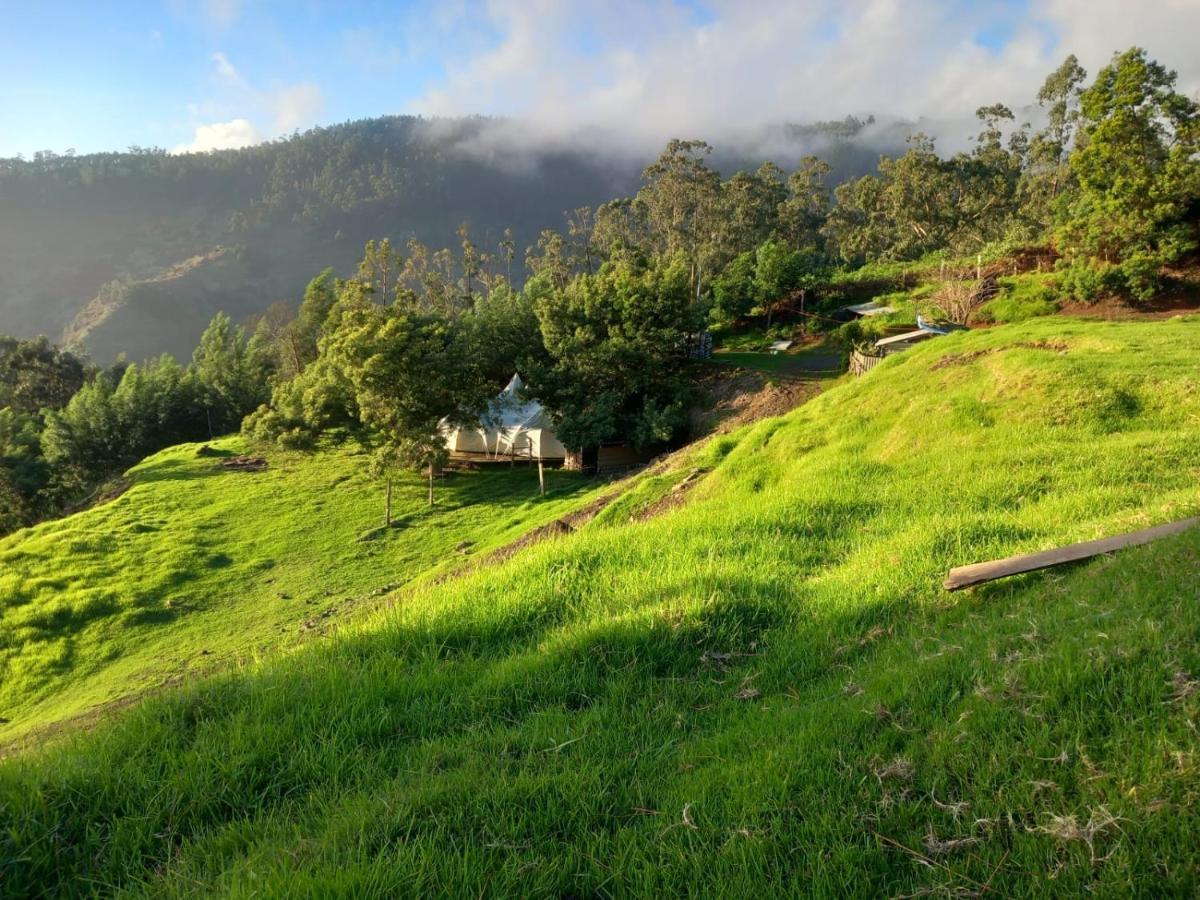 Arambha Ecovillage Farmstay Tabua (Madeira) Exterior foto