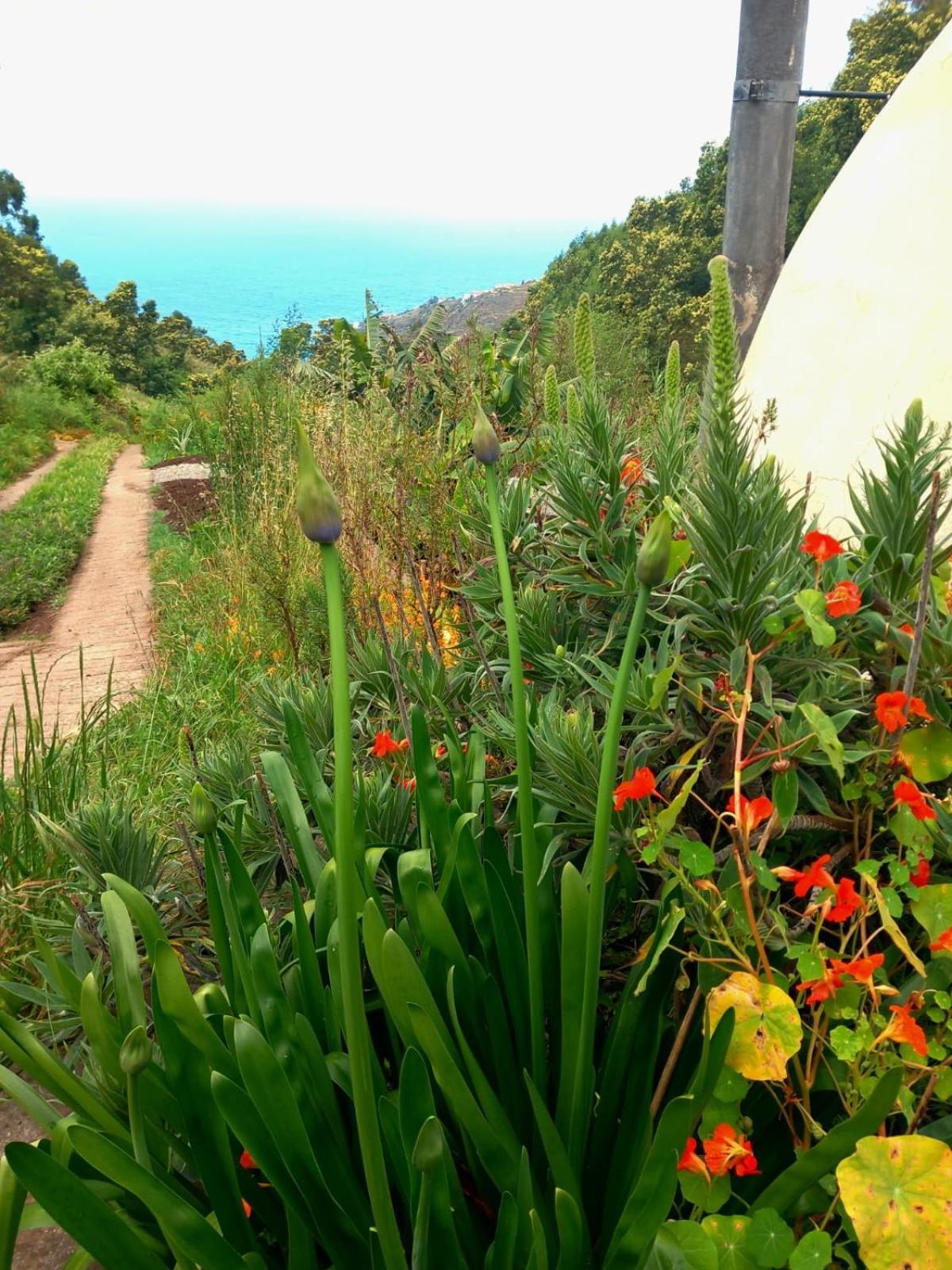 Arambha Ecovillage Farmstay Tabua (Madeira) Exterior foto