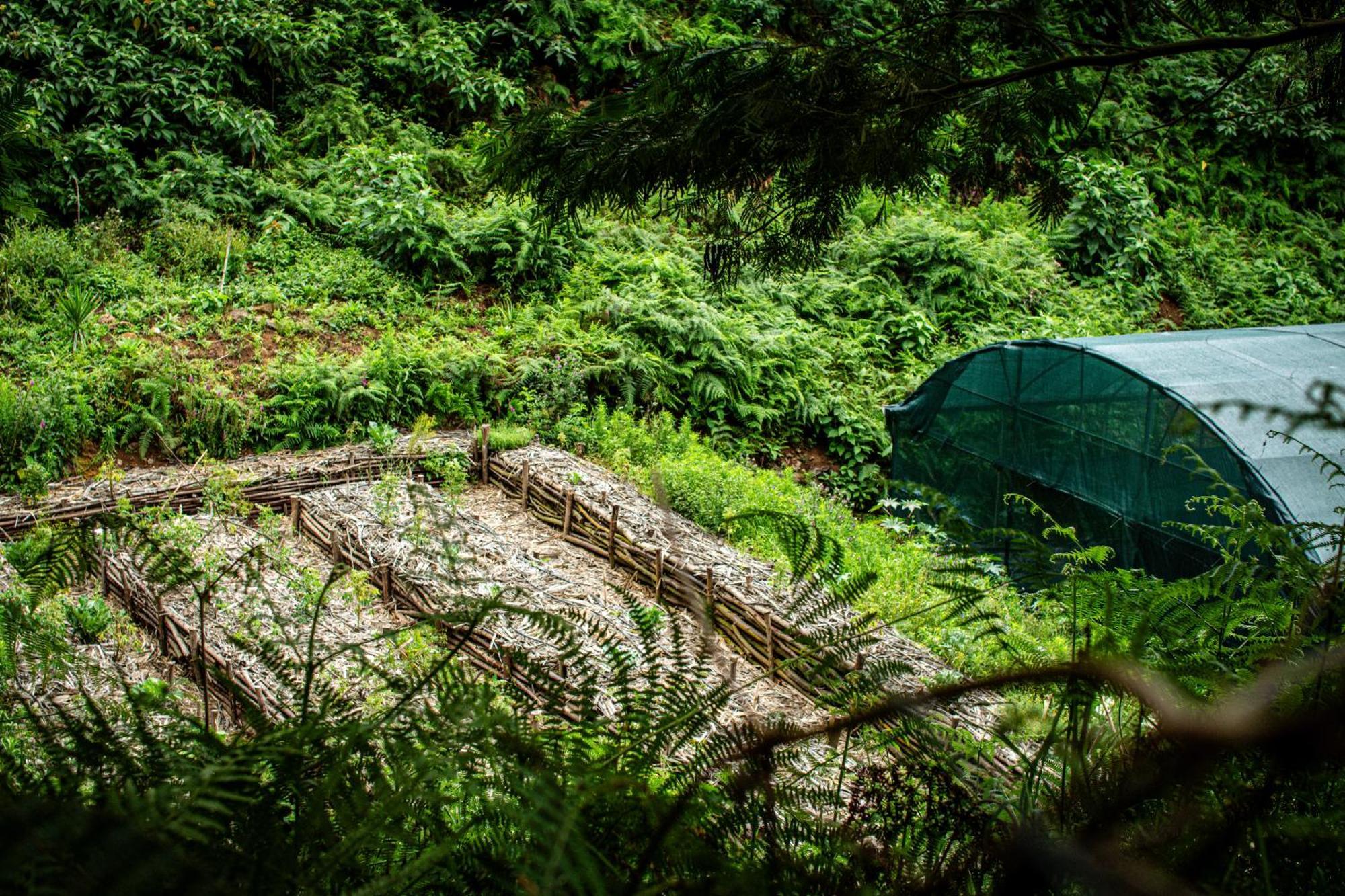 Arambha Ecovillage Farmstay Tabua (Madeira) Exterior foto